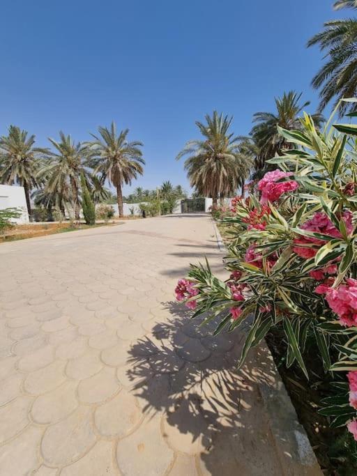 Dar Jamila - Au Coeur De L'Oasis - Villa Gabes Luaran gambar
